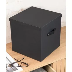 Aufbewahrungsbox Texas