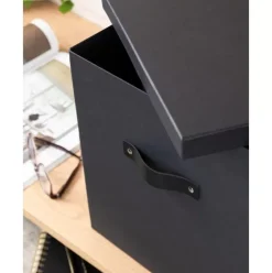 Aufbewahrungsbox Texas