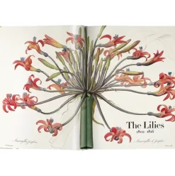 Bildband Book Of Flowers