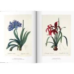 Bildband Book Of Flowers