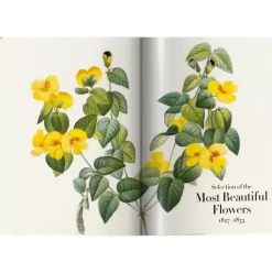 Bildband Book Of Flowers