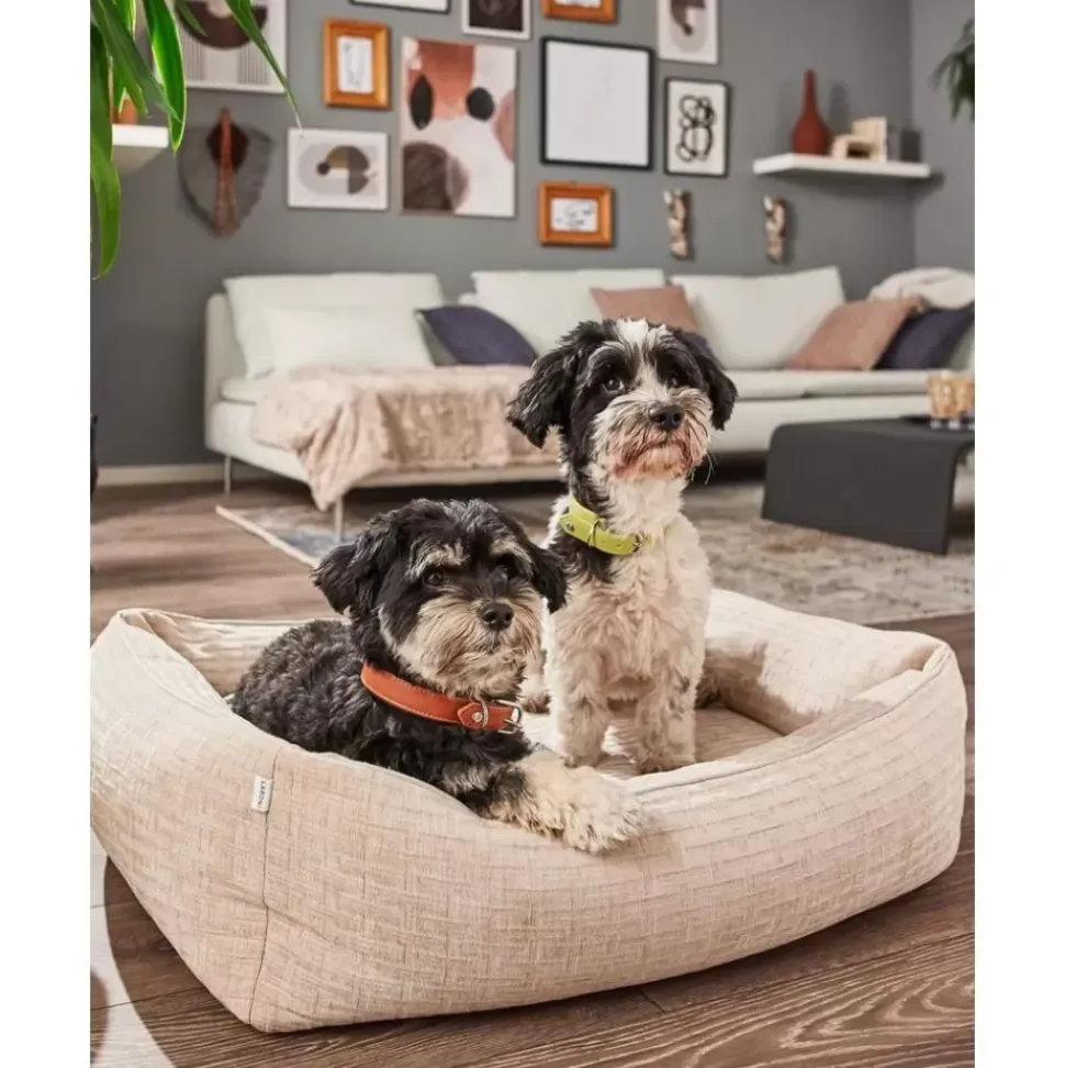 Cord-Hundebett Nova, Verschiedene Grosen