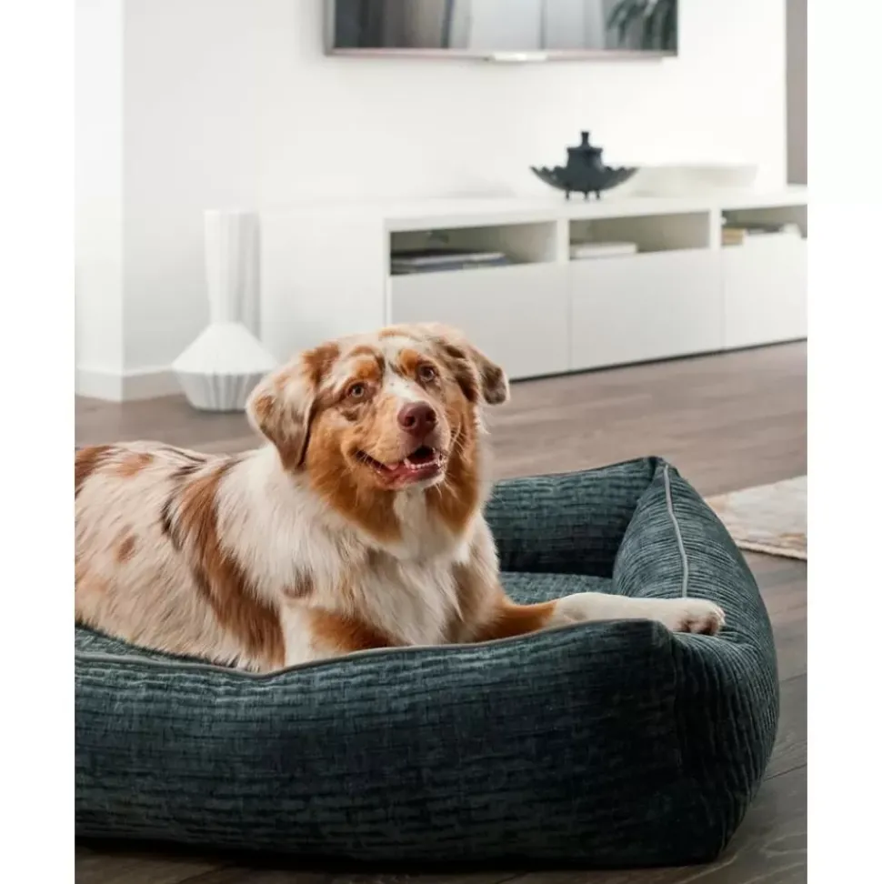Cord-Hundebett Nova, Verschiedene Grosen