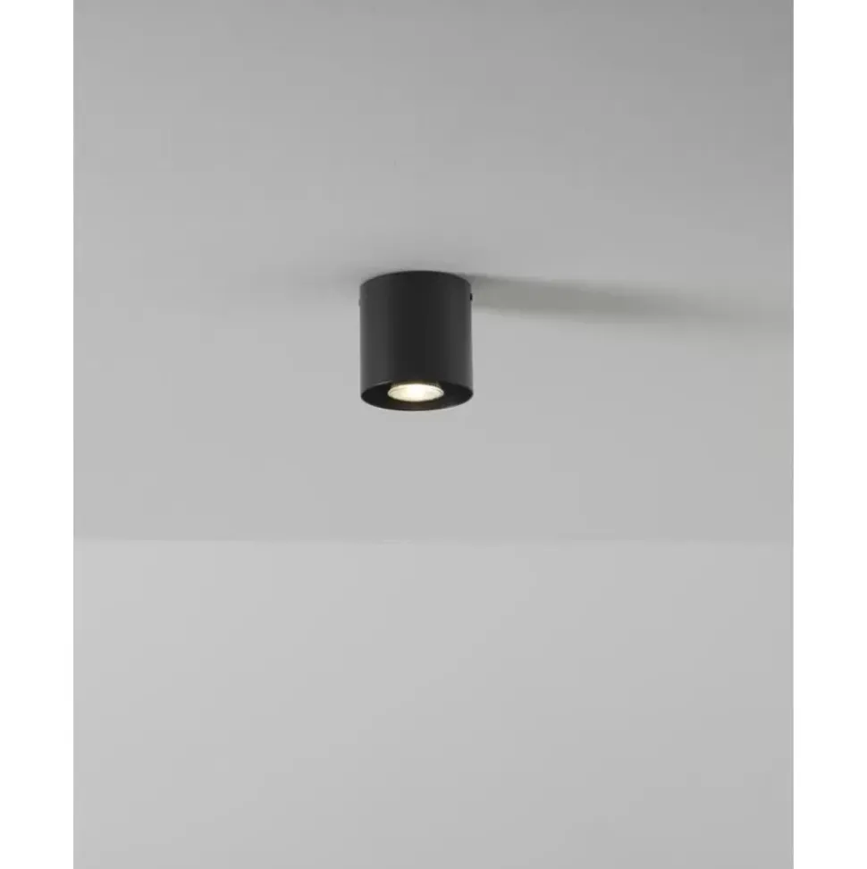 Deckenspot Roda