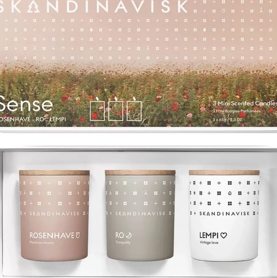Duftkerzen-Set Sense, 3Er-Set