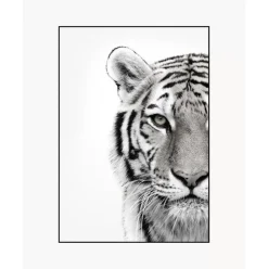 Gerahmter Digitaldruck White Tiger