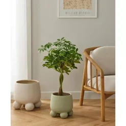 Groser Ubertopf Olea