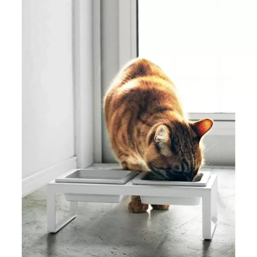 Haustiernapfe Tower Mit Stander