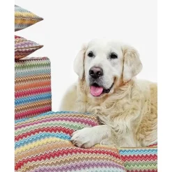 Hundebett Zik Zak, Verschiedene Grosen