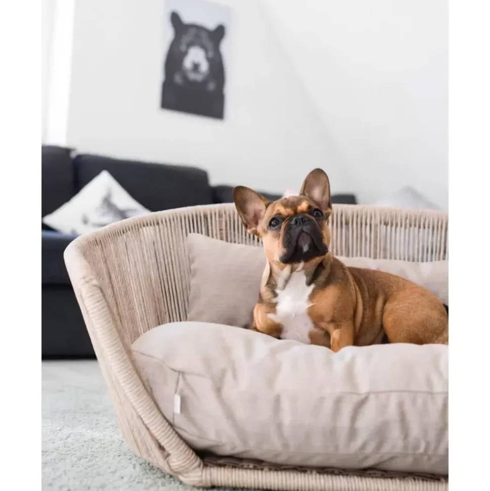 In- & Outdoor-Hundebett Vogue