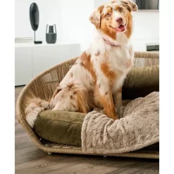 In- & Outdoor-Hundebett Vogue