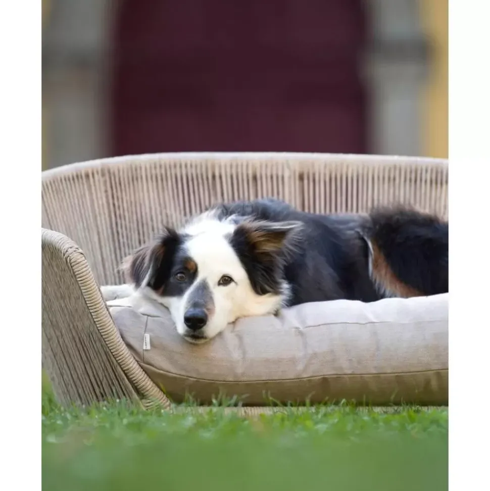 In- & Outdoor-Hundebett Vogue